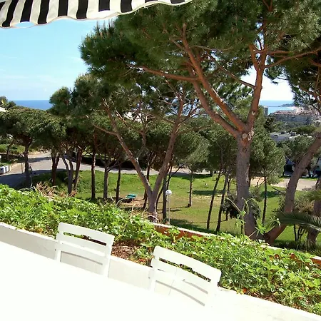 Apartment Apartamentos Politur